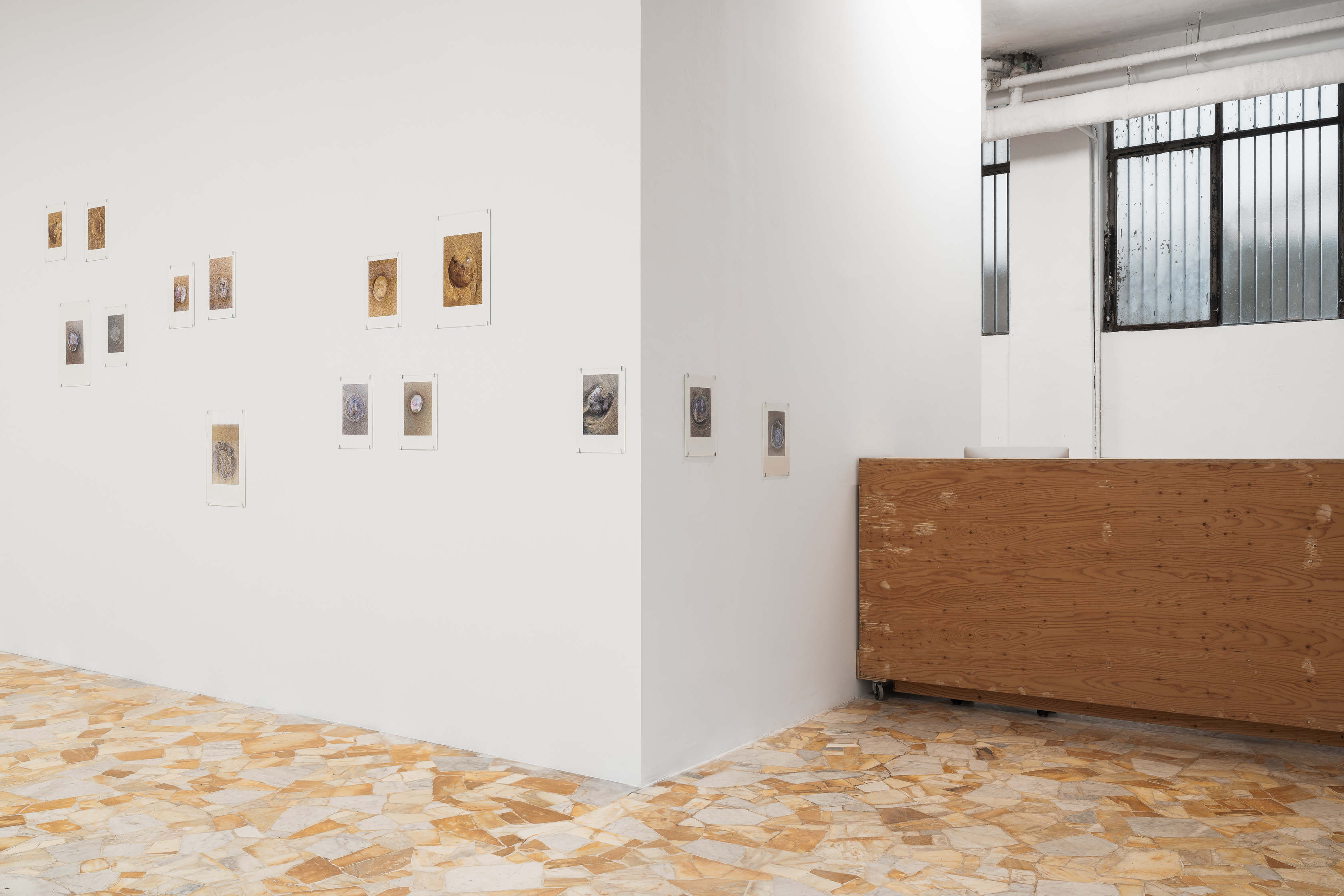 Bleed 2x 2601 veda lofdhal 5607