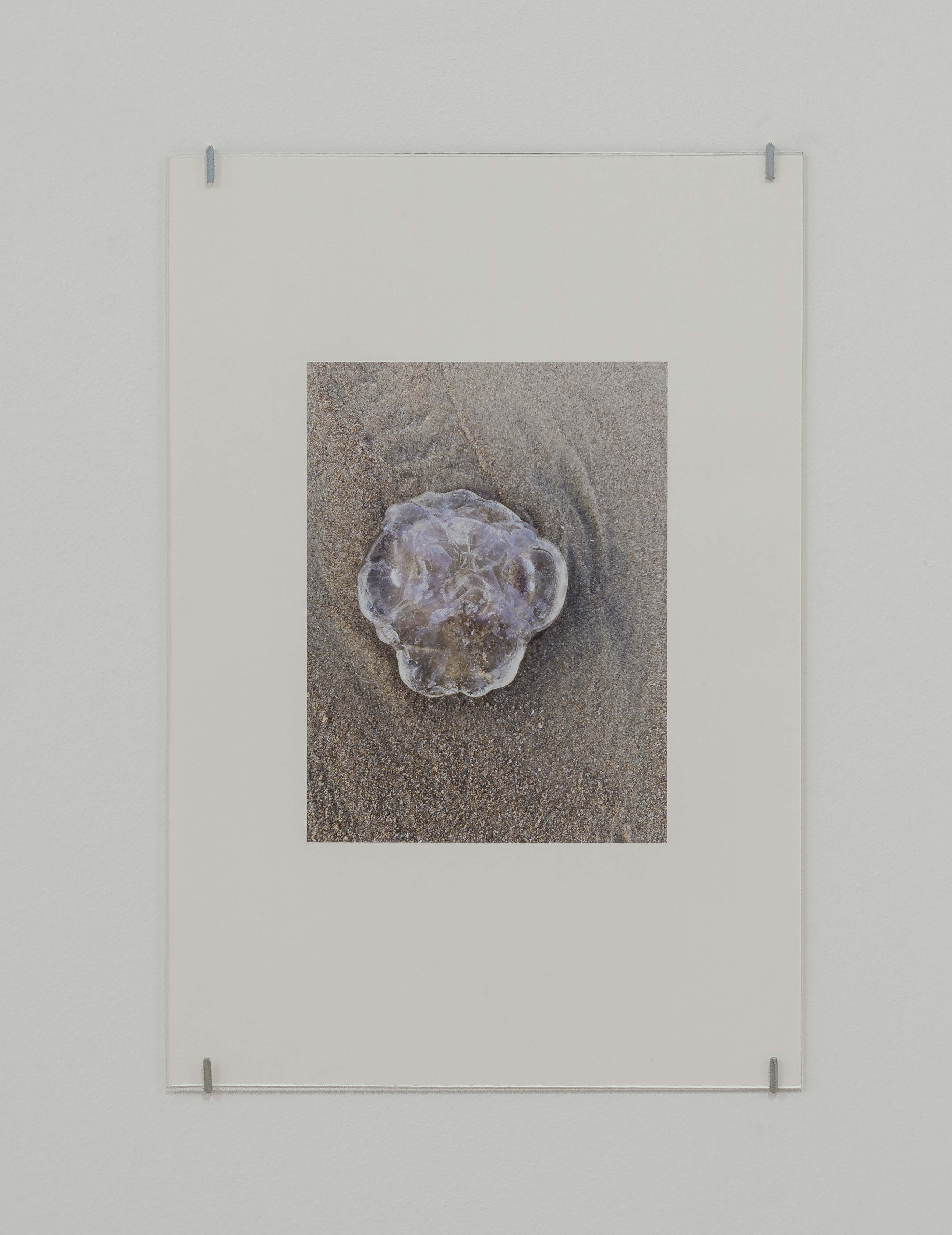 Bleed 2x veda lofdhal counterflow 21