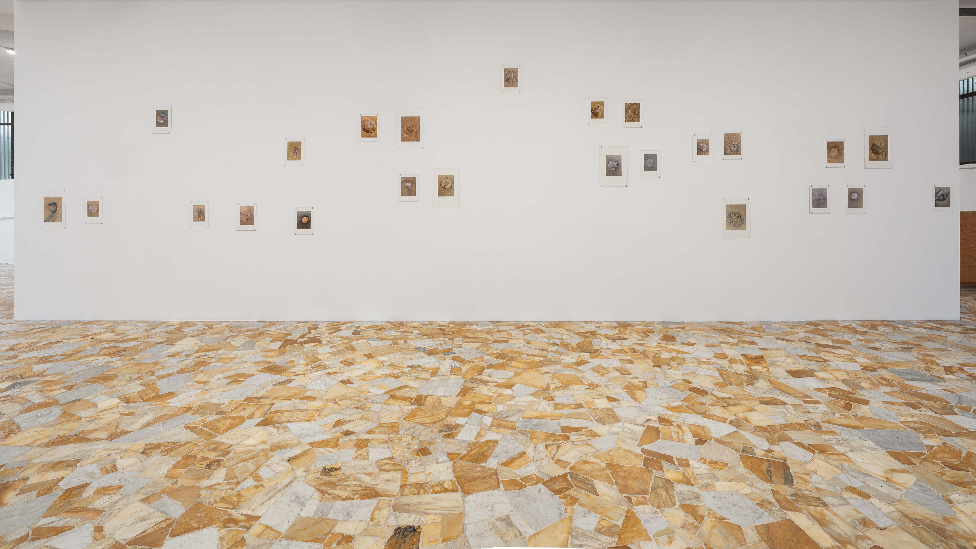 Bleed 2x 2601 veda lofdhal 5619