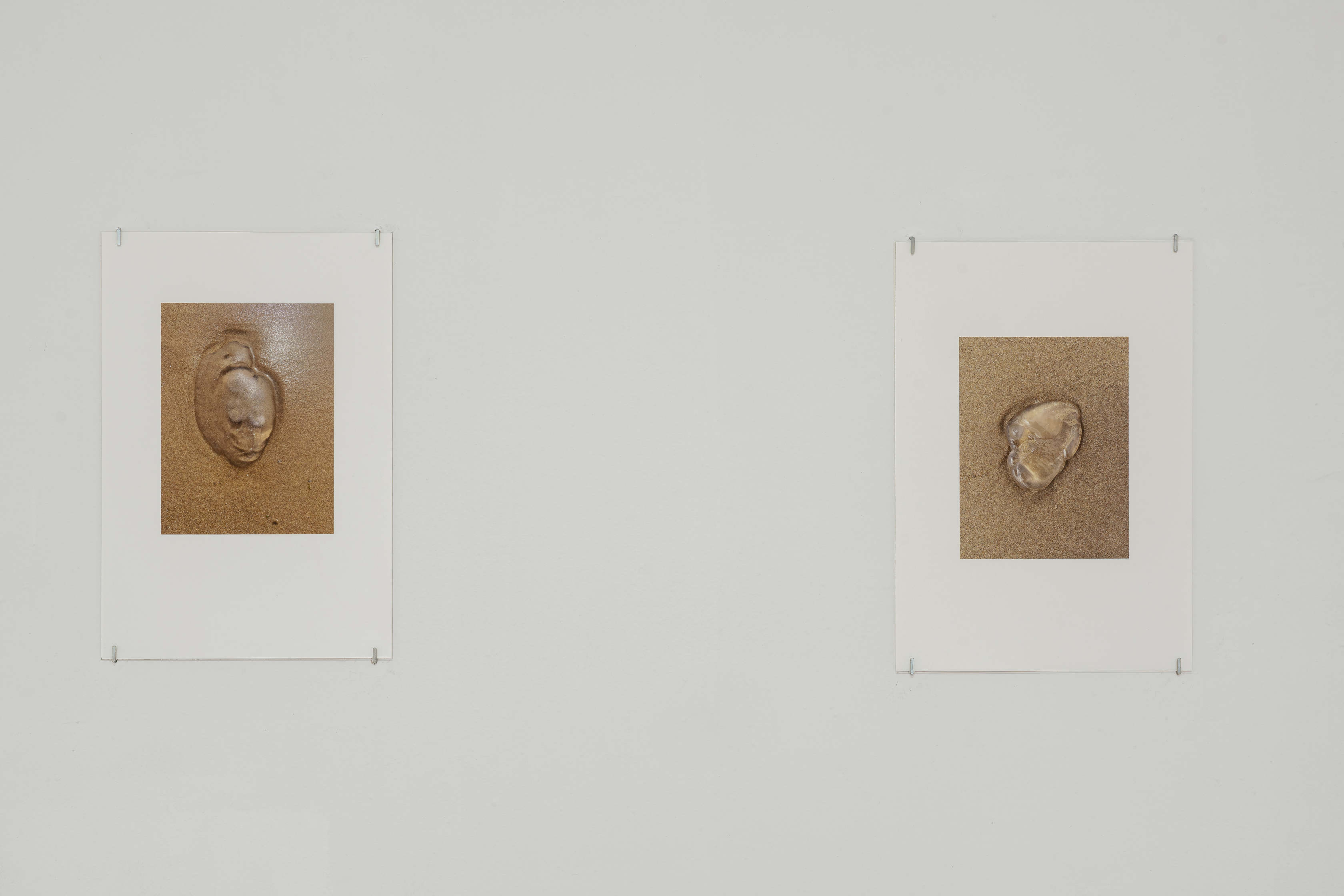 Bleed 2x 2601 veda lofdhal 5557