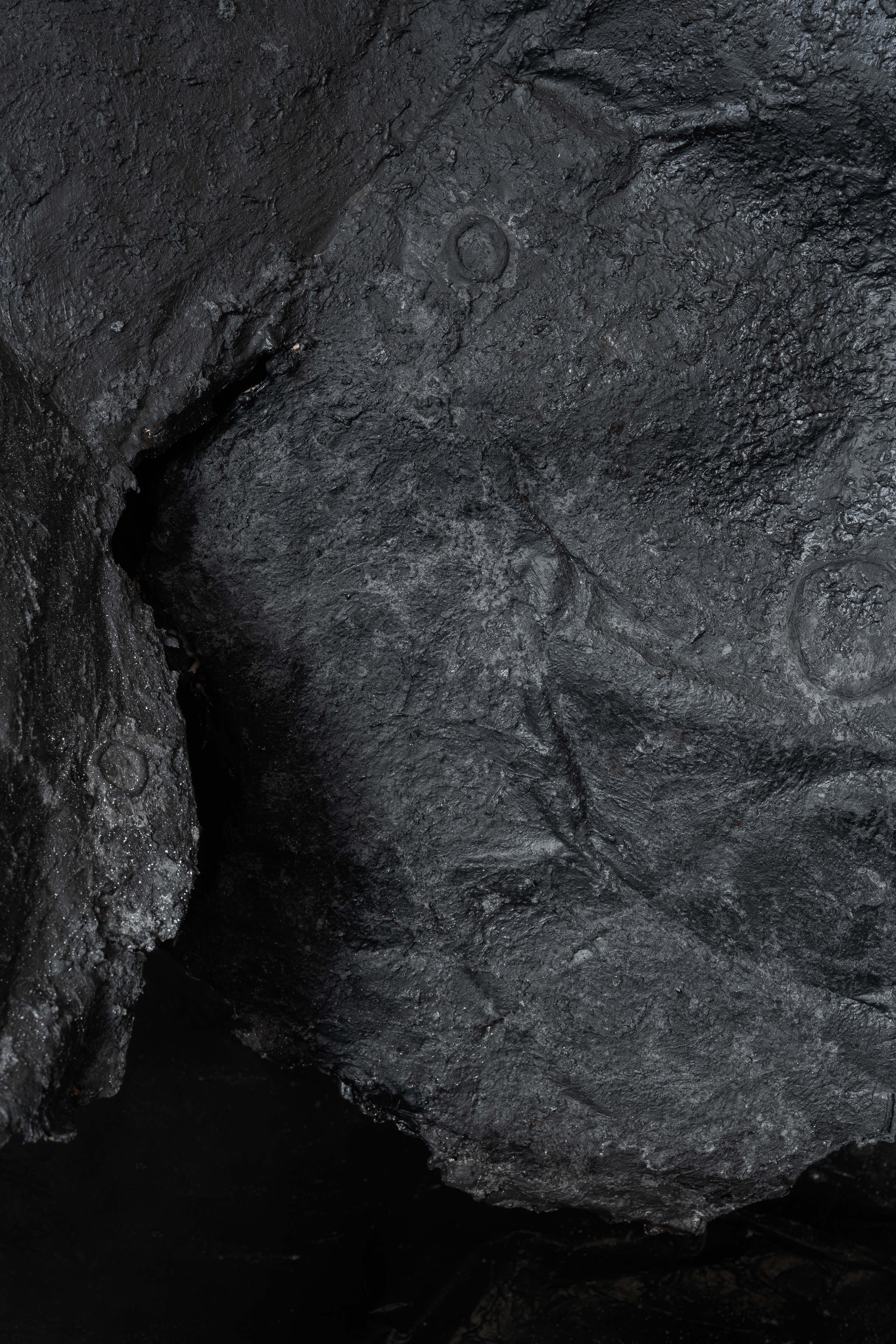 Bleed 2x 2604 veda lupo 6343