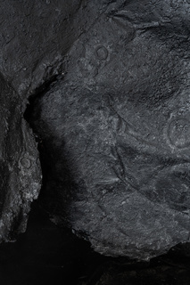 Thumb 2604 veda lupo 6343