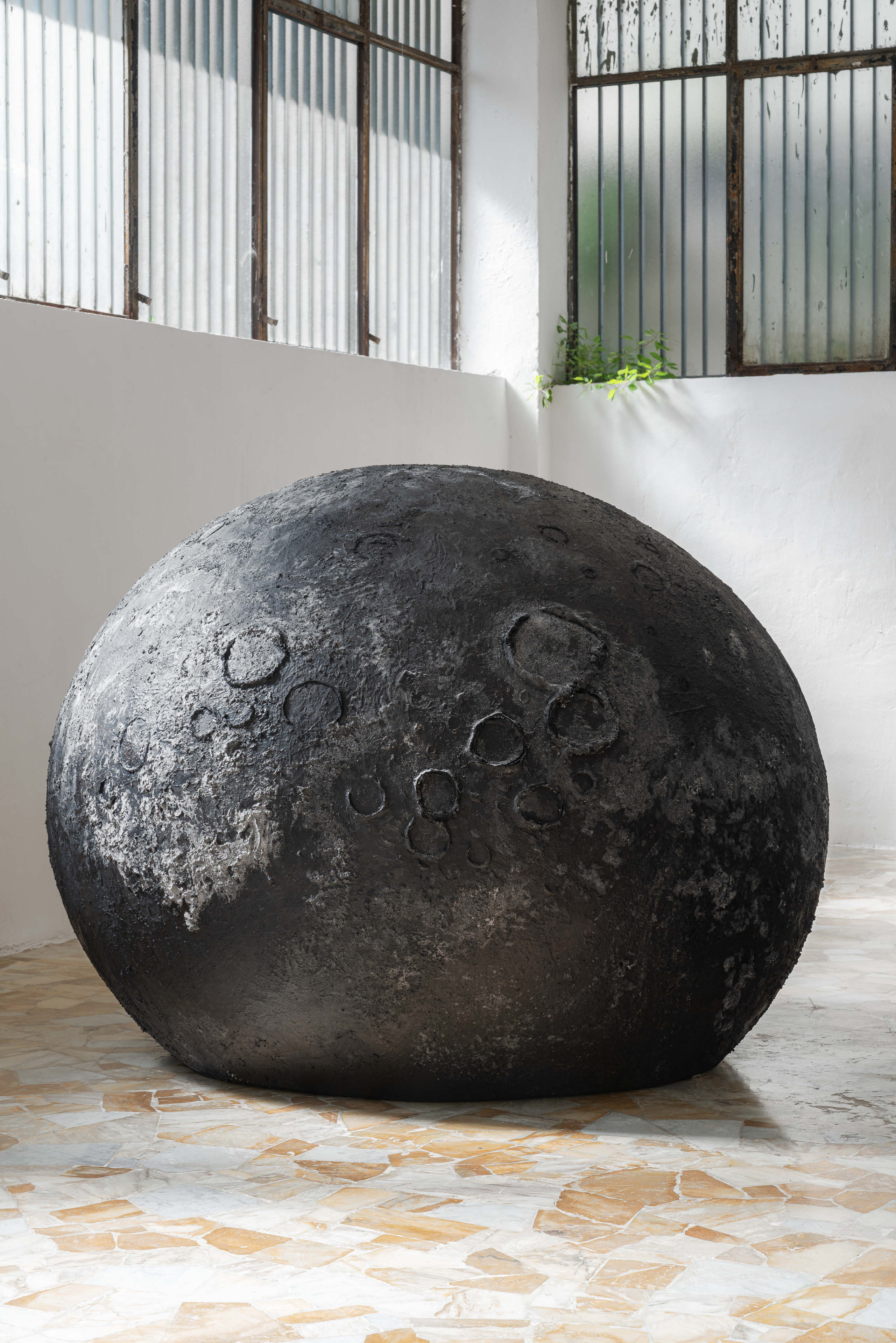 Bleed 2x 2604 veda lupo 6281