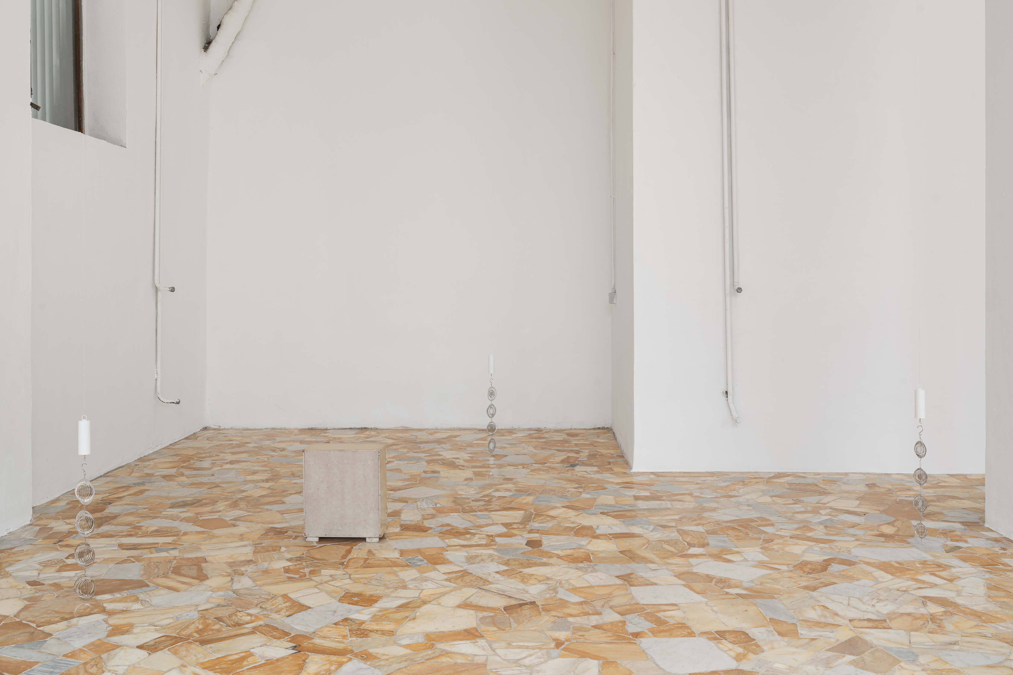 Bleed 2x 2604 veda lupo 6268