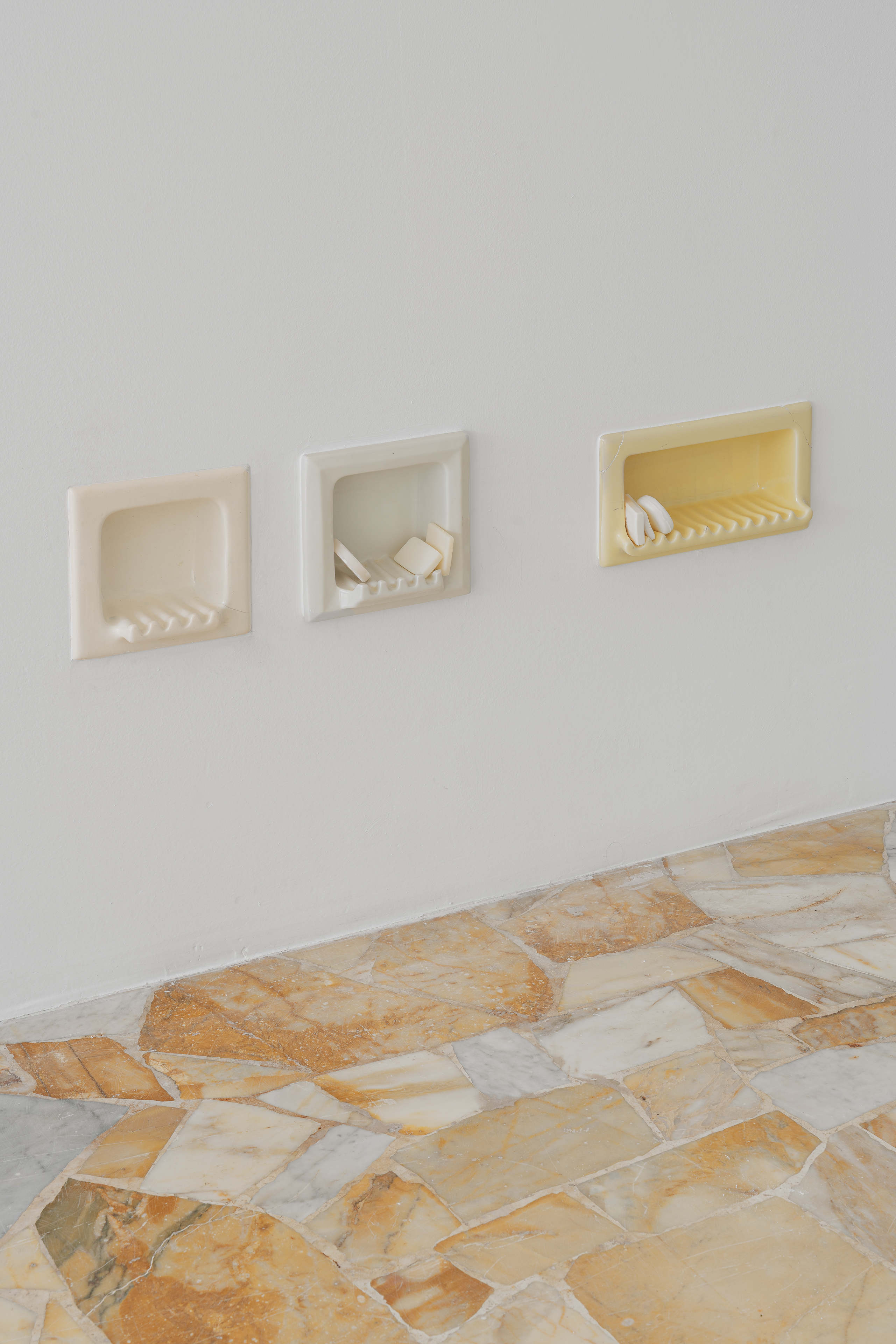 Bleed 2x 2604 veda lupo 6351