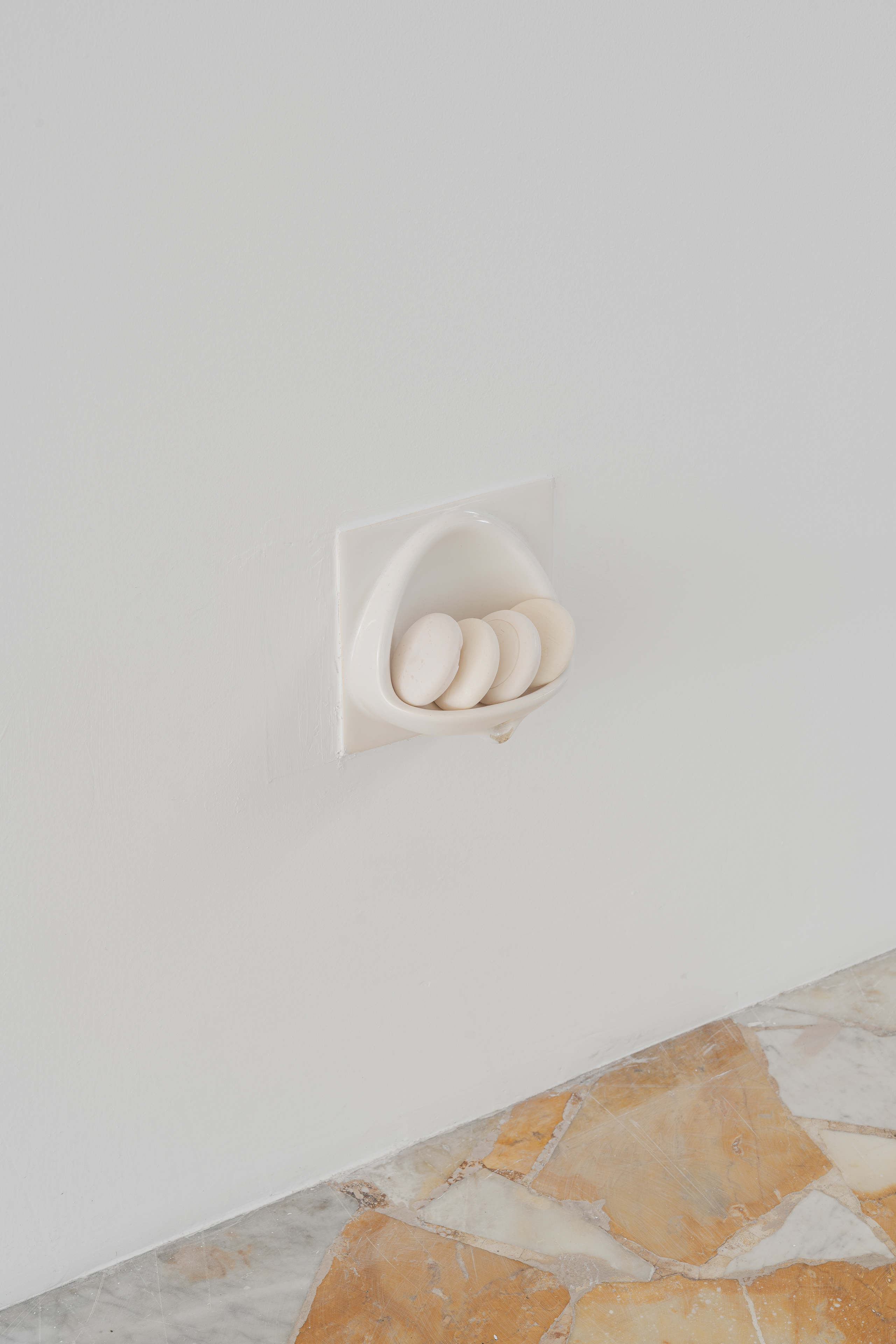 Bleed 2x 2604 veda lupo 6352