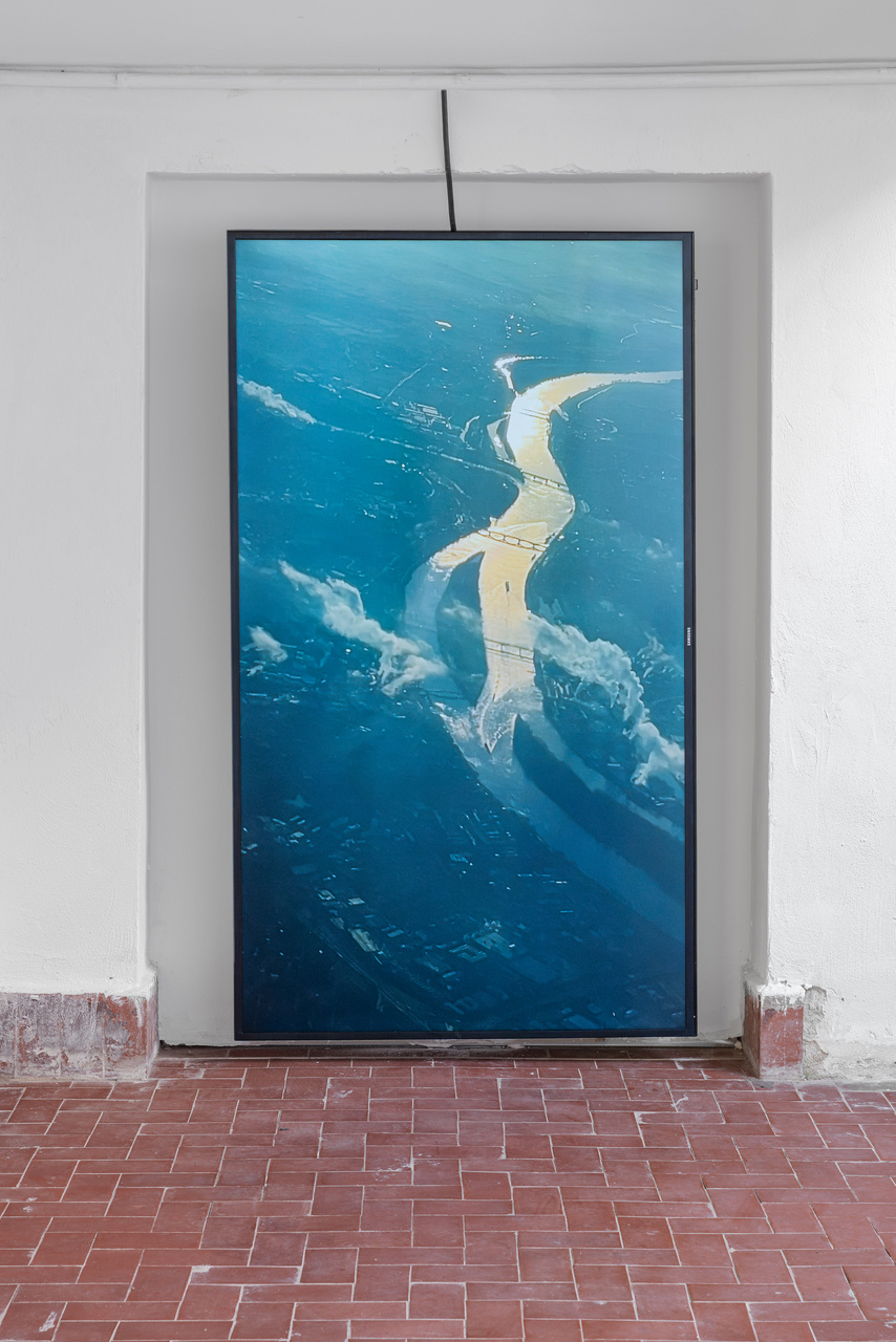 Large 2604 veda lupo 6379